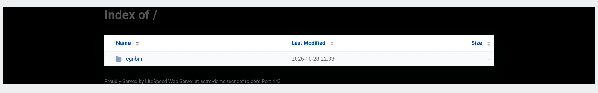 Listado automático “Index of /” de LiteSpeed con la entrada cgi-bin. La imagen muestra la página, no el código HTTP.