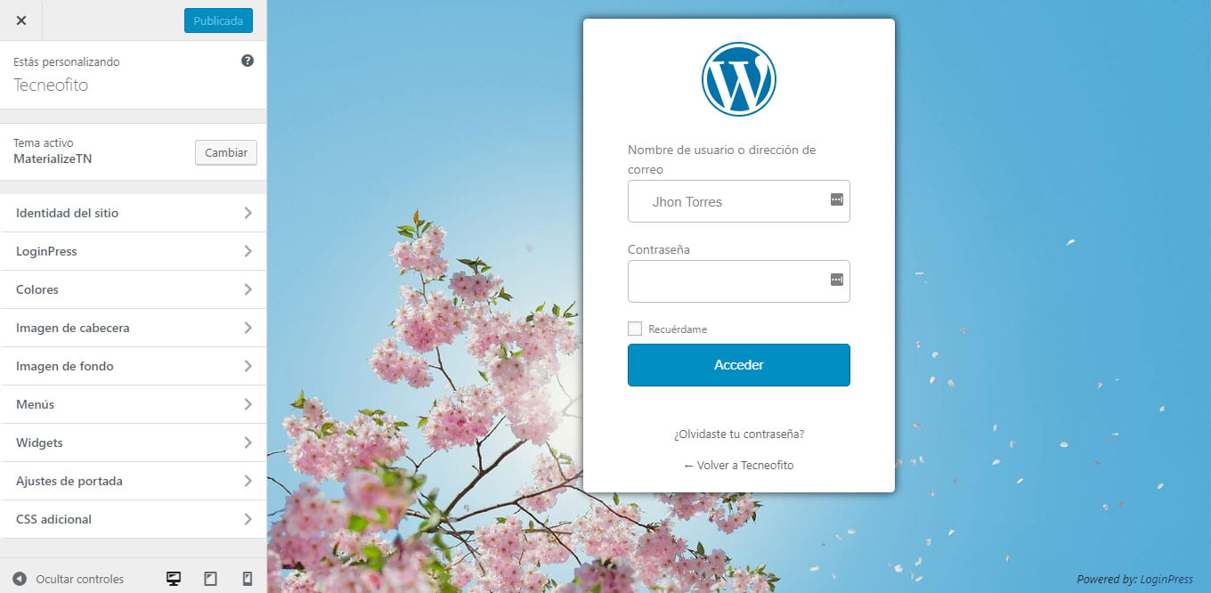 Inicio de sesión personalizada en WordPress